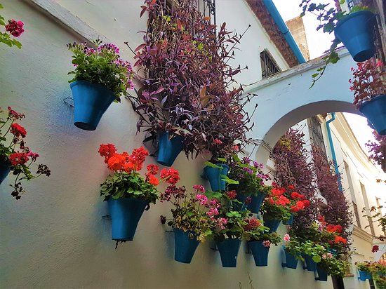 Calleja de las Flores
